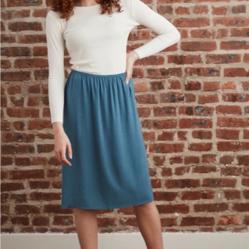 Blue Knee-Length A-Line Pleated Skirt